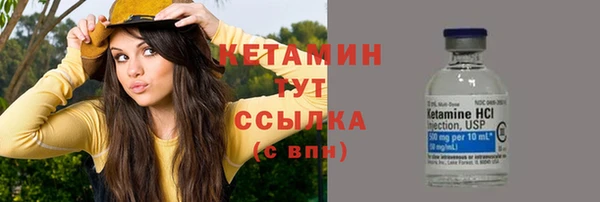 сатива Володарск