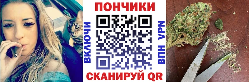 Бошки Шишки MAZAR  Бокситогорск 